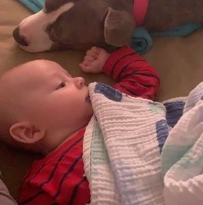 Meet your Posher, Brandon